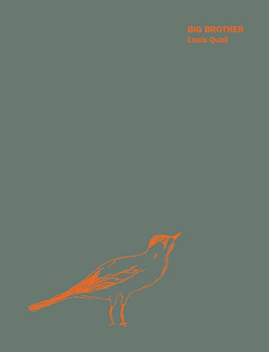 Preisvergleich Produktbild BIG BROTHER