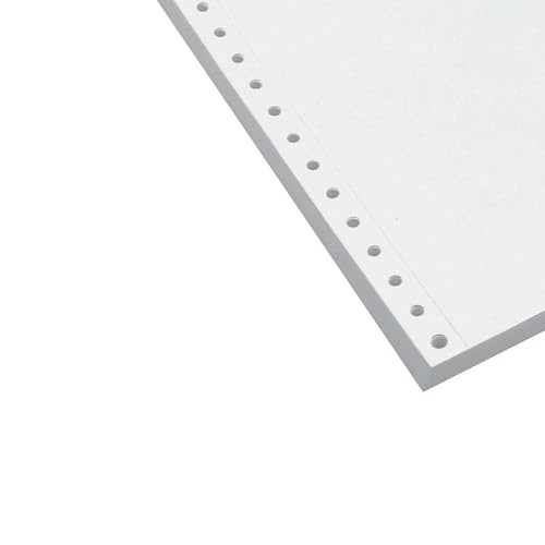 Papier d'ordinateur continuous listing Staples WTE 2 plis 24 x 28 cm