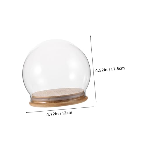 Cúpula para flores preservadas HAMPPLIES vitrina protectora antidespolvoreo transparente de 12cm 3