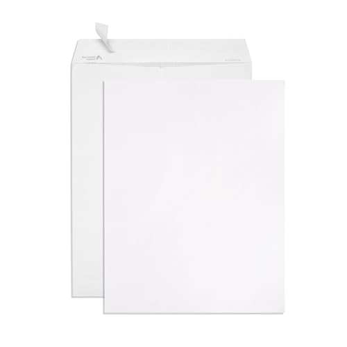 Enveloppes catalogue autoadhésives 10x13 pouces | Lot de 100