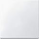Schneider Electric Merten Wippe für Schalter, System M, polarweiss, Artikelnummer 434119