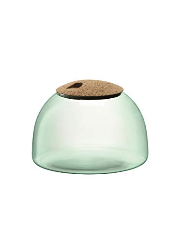 LSA International Canopy Closed Garden Planter 6.5”, Luxury Handcrafted Modern