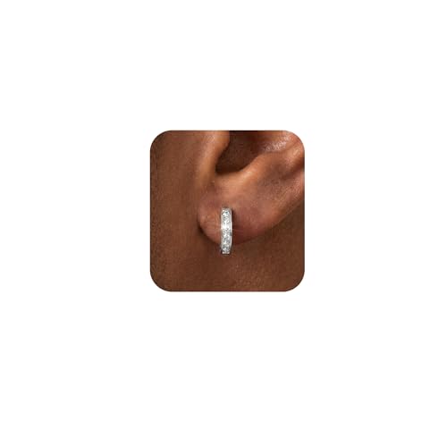 316L Stainless Steel Hoop Earrings for Men Women Hypoallergenic Cubic Zirconia Silver Hoop Huggie Cartilage Earrings for Women Men Hoops 13mm Outer Diameter
