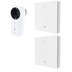 Diw-Funk PD-882 Steuerung mit 2 Wandsendern