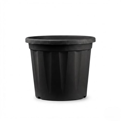 Image of 12 Inch Heavy Duty Plastic Planter | Grower Pot /Garden Pot for Home & Garden (Black) (Pack of 2)