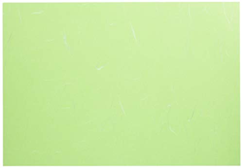 Ehime Paperwork 8BH-734 Gokura Literature Cover, Unryu, 8 Cuts, 50 Sheets, Wakasasa