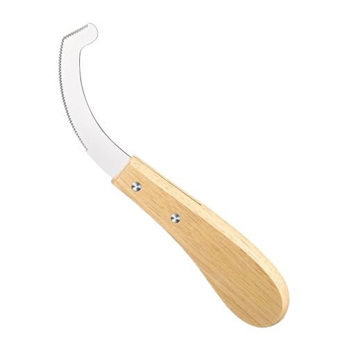 Herramienta De Desovación Para Huevos De Mosca Bot - Raspador Herramienta De Mariscal Ferrado, Cuchillos Para Eliminación De Huevos De Mosca Bot - Para Jinetes Aficionados