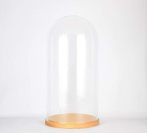 EMH - Espositore a cupola in vetro con base in legno, altezza 41,5 cm