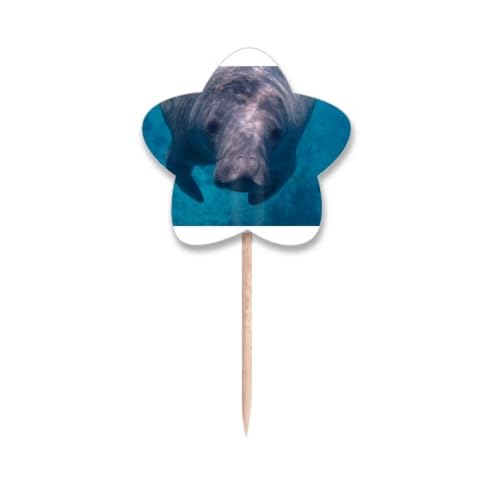 Drapeaux cure-dents etoile de mer pour decoration cupcake de fete de plage