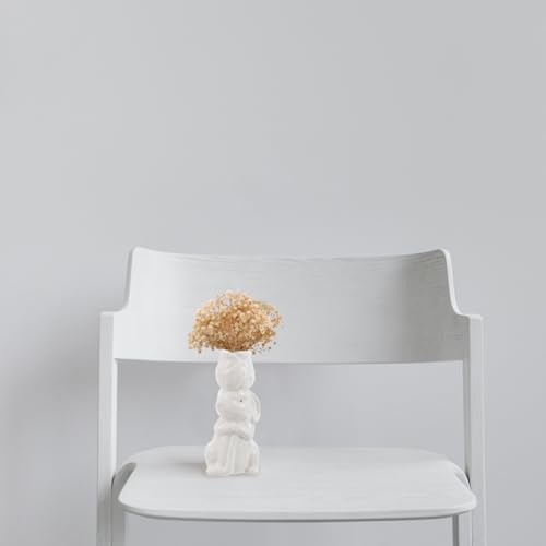 5 ramos secos de flor Gypsophila para decoración miniatura 6