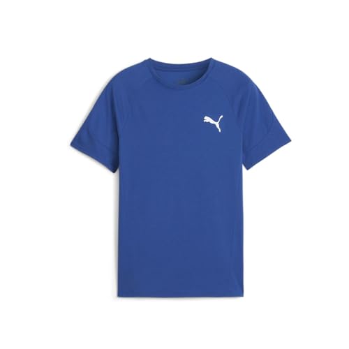 PUMA Kids Boys Evostripe Crew Neck Short Sleeve Athletic Casual Tops Casual Moisture Wicking - Blue