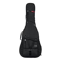 Transit Series Gig Bag Designed to Fit Acoustic Guitars Rigid Interior Construction within the Frame of the Bag for Case-Like Protection Thick Rubber Tread on Bottom of the Bag Prevents Wear and Protects from Small Puddles to Spilled Drinks Molded, P...