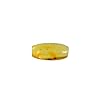 Baltic Amber with Moss Insect Natural stone - 2.8g