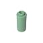 Sand Green
