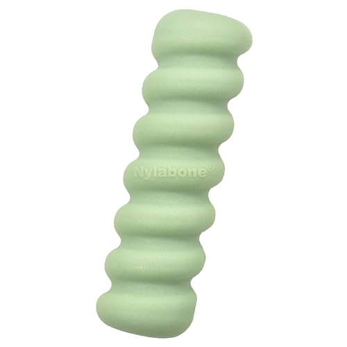 Nylabone bâton de jouets tactiles pour chiot taille S dentition - 2