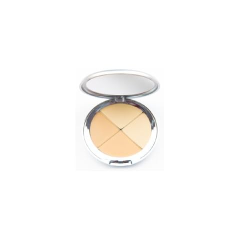 Naked.25 Christina Cosmetics Perfect Pigment Compact: One Minute Miracle Makeup Cover