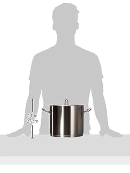 Fissler フィスラー 旧プロコレクション ストックポット24cm Amazon｜フィスラー 両手鍋 プロコレクション ストックポット