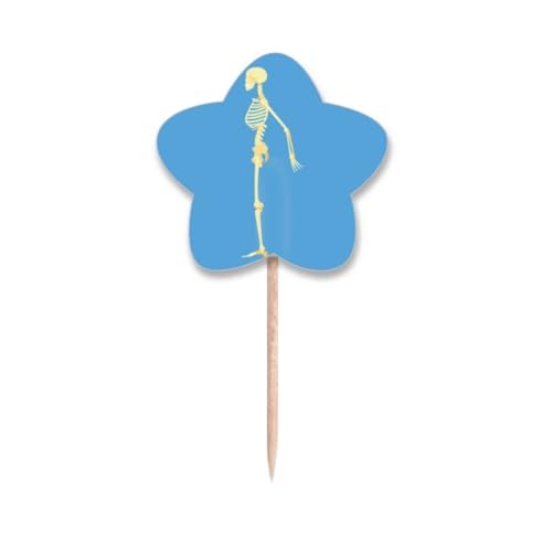 Cure-dents drapeaux étoile illustration Human Side B pour décoration chic de cupcake - 2