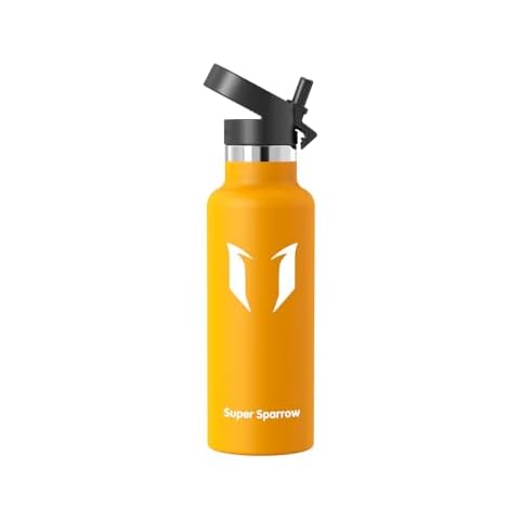 Bouteille Isotherme Super Sparrow 500ml Cover