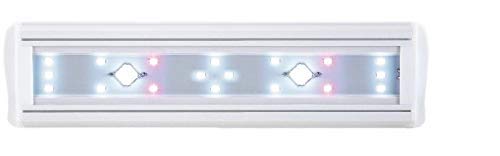 See full amazon price history chart for Petzlifeworld AL-580 COB SOBO Slim Bright AL COB Plant Lamp, Suitable For 60 cm Aquarium. Petzlifeworld AL-580 COB SOBO Slim Bright AL COB Plant Lamp, Suitable For 60 cm Aquarium. (B08ML5G9CV) Amazon Price History, Amazon Price Tracker