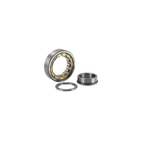 Roulement à rouleaux cylindriques NJ304EM en acier chromé 20x52x15mm