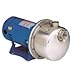 Goulds LB1035TEPE, Centrifugal Booster Pump, 1 HP, 208-230/460 Volts, 3 Phase, 1-1/4