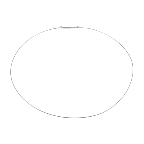 Levemolo Anillo de Retención para Puerta de Lavadora Pinza Metálica de Sujeción Inoxidable Compatible con Diversas y Fácil Instalación y Rendimiento de Sellado