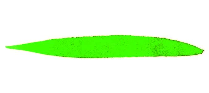 Graf von Faber-Castell Bottled Ink in Moss Green - 75 mL - Pens