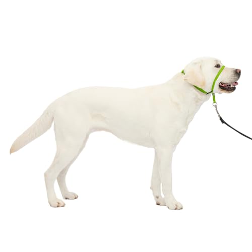 PetSafe Gentle Leader No-Pull Dog Headcollar - The Ultimate Solution to Pulling - Redirects Your Dog's Pulling for Easier Walks - Helps You Regain Control - Large, Apple...