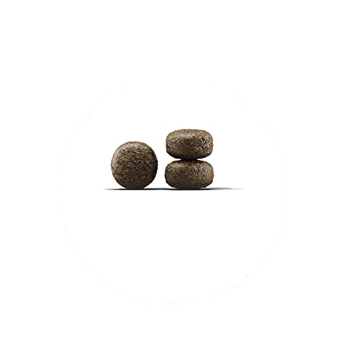 2 x 12,5 kg Josera SensiJunior Trockenfutter Sensi Junior Sparpaket - Hundefutter - Trockenfutter