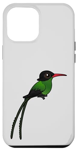Cute Cartoon Red-billed Streamertail Birdorable Bird Species Case