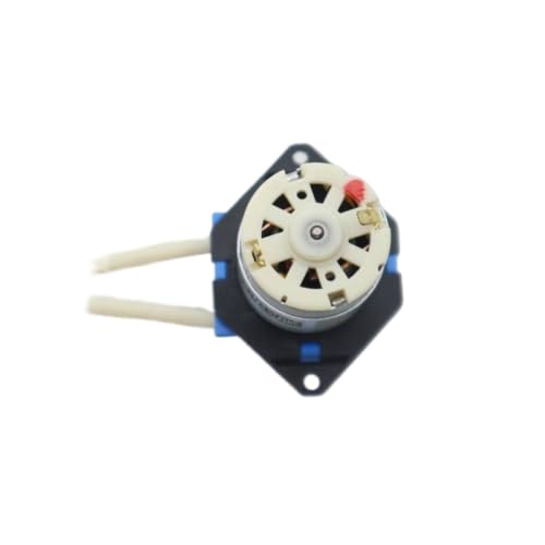 Bomba peristáltica de 12V con flujo continuo para cabezales de impresión dtf xp600 2