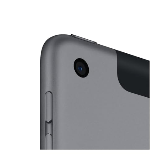 Image of Apple iPad (10.2-inch, Wi-Fi + Cellular, 128GB) - Space Gray (8th Generation) (Renewed)