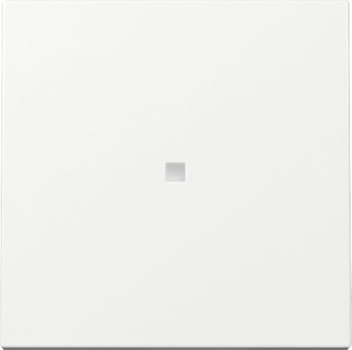 Gira 329003 Wippe mit Kontrollfenster Reinweiß glänzend