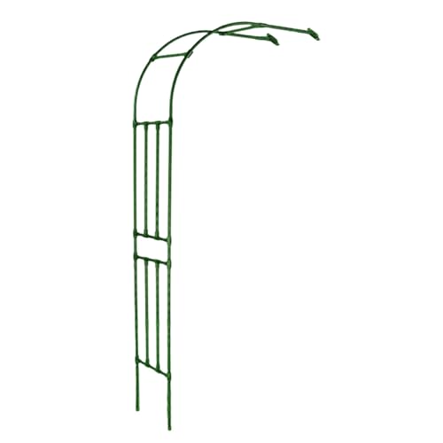 Pergola noire antirouille pour plantes grimpantes et rosiers résistante au gel