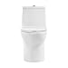 Ivy One Piece Toilet Dual Vortex™ Flush, Black Hardware 1.1/1.6 gpf