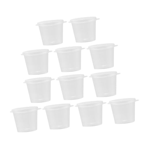 JEWEDECO 100 Jbv Wtgїp\[Xe @\fBbvJbv ĝĕ֗ANZT[