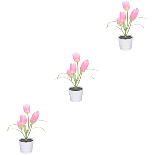Lumière Solaire Tulipe Pot Rose Lot de 3 Idée Cadeau Déco Jardin