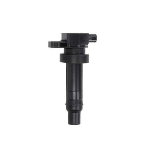 Bobine d'allumage Delphi GN10590-12B1 pour moteur essence