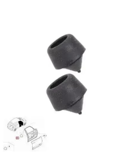 KIT 2 TAMPONI PORTE LATERALI COMPATIBILE CON RENEGADE COMPASS 500L 0051998258