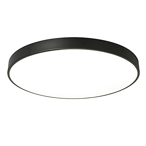 ی^LEDV[OCgAtbV}EgqvAۈ牀AqA_CjO[p̖k_ƖAubN+j[gCg-23cm 12W