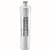 Watts Premier 105381 WP105381 RO Pure Plus VOC Filter, 2" x 2" x 12", Silver