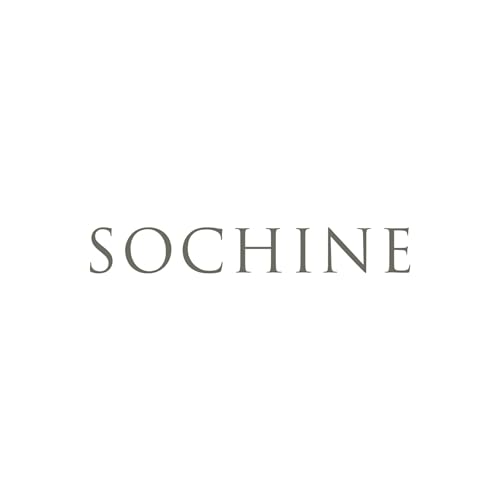 Page de couverture de Sochine-com 2025