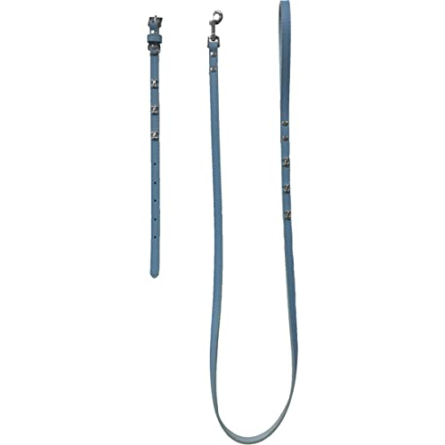 FRED&RITA Set para perros collar 30-41 cm + correa 1,5x120cm Azul
