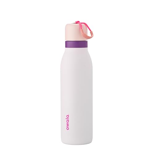 Owala FreeSip Twist Insulated Stainless Steel Water Bottle with Straw for Sports and Travel, BPA-Free, 18-oz, Pink/Purple (Dreamy Field)