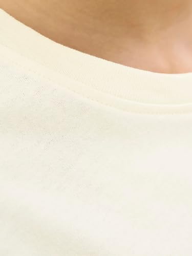 Vêtements Jack & Jones Jcotier Front Print Tee Ss Cn Sn Jnr pour Accessoires - vue 10