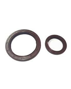 Lechi 1.2 Kurbelwelle Radialwellendichtring Satz