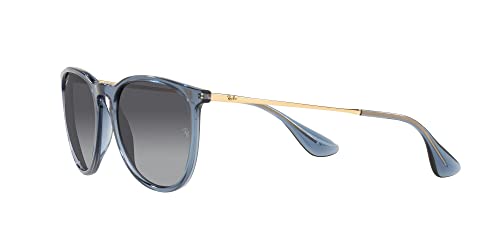 Image of Ray-Ban RB4171 Erika Round Sunglasses