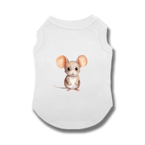 ZSDGBZ ybg TVc  hbOEFA t  m pW} X|[c ^Ngbv  _炩 Ȑ ̕ pRX`[ lC  t@bV ^ ^L Un 1_Zbg M