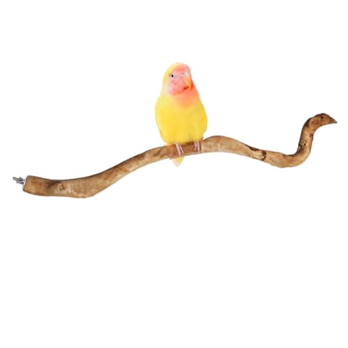 Bird Stand Perch, Parrot Standing Stick Standing Pole for Lovebird Conure Cockatiel Swing Natural Azalea Wood Branch Nibbling Claw Sharpening Toys Wooden Roots Birdcage Decoration Bird Swing Toy (A)
